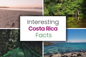 Interesting Costa Rica Facts That You Might Not Know About