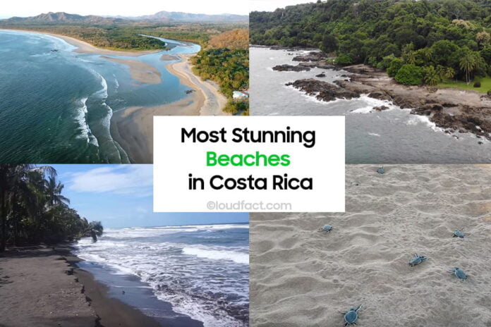 most-stunning-beaches-in-costa-ricafeatured-min