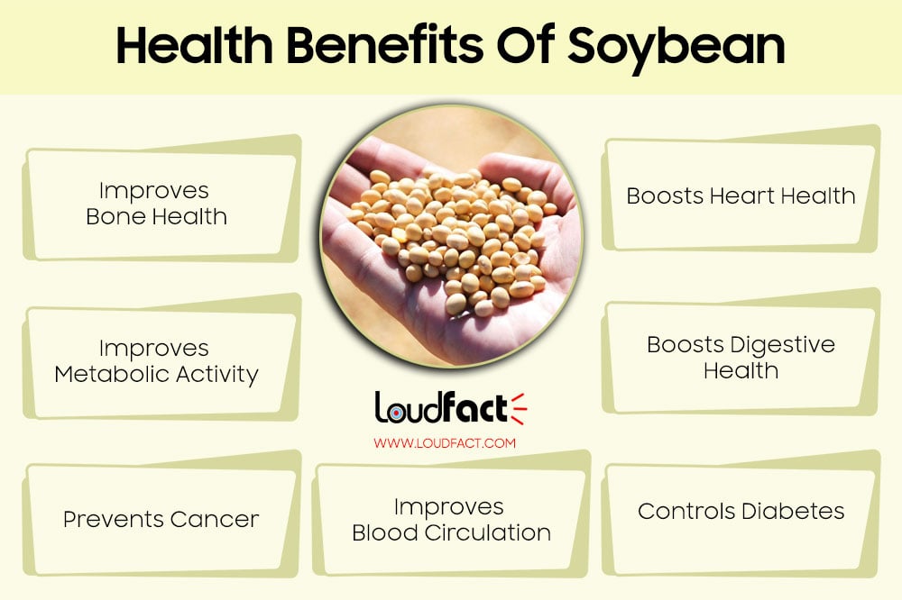 Unknown Soybean Facts And Amazing Health Benefits Loudfact 3305