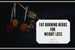 fat burning herbs