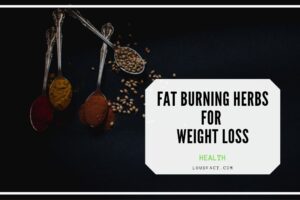 fat burning herbs