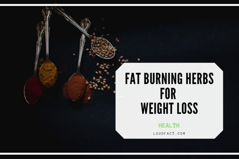 Amazing Fat Burning Herbs That Can Help You Lose Weight LoudFact