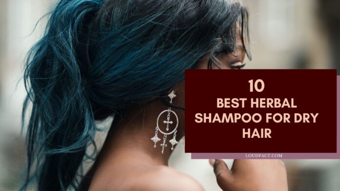 Best Herbal Shampoo For Dry Hair