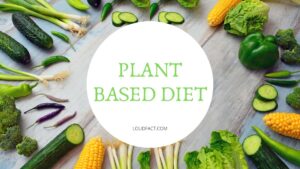 Plant-Based Diet Plant-Based Diet