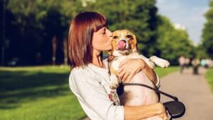 Fun Ways To Exercise With Your Dog