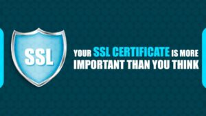 Your SSL Certificate is More Important Than You Think Your SSL Certificate is More Important Than You Think