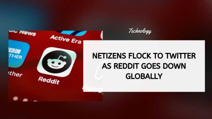 Netizens Flock To Twitter As Reddit Goes Down Globally