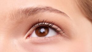 Best Eyebrow Tattoo Pens Best Eyebrow Tattoo Pens