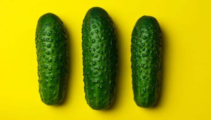 Cucumber