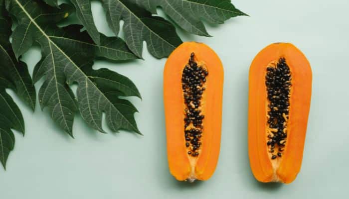 Papaya