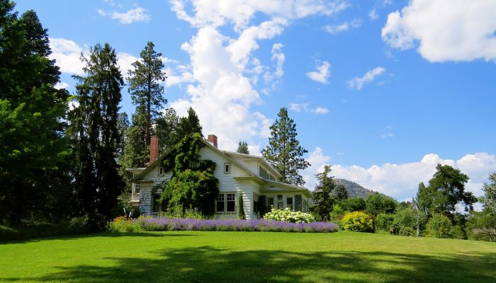 Best Garden Plants That Naturally Repel Pests