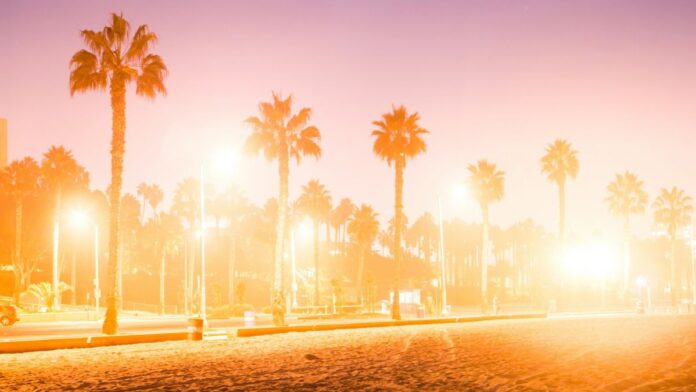 GTA 6 Official Trailer Out, Game Releasing In 2025 GTA 6 Official Trailer Out, Game Releasing In 2025