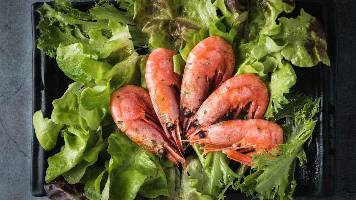 Amazing Benefits Of Shrimp, Facts, And Recipes