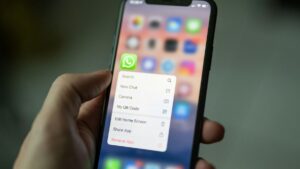 WhatsApp for iOS Reportedly Rolling Out Chat Theme Feature