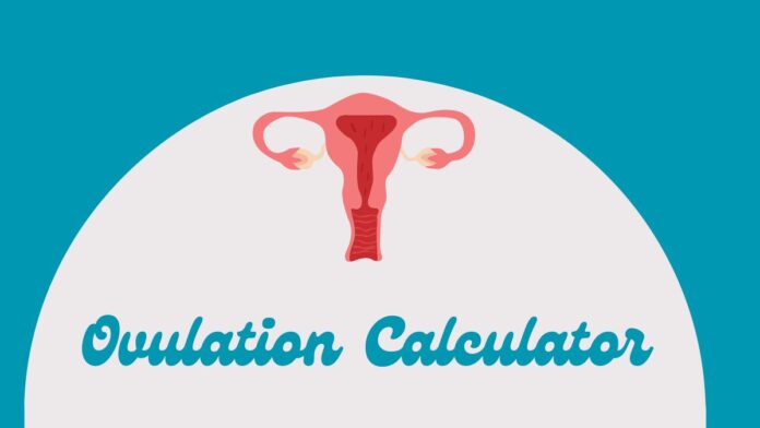 Ovulation Calculator