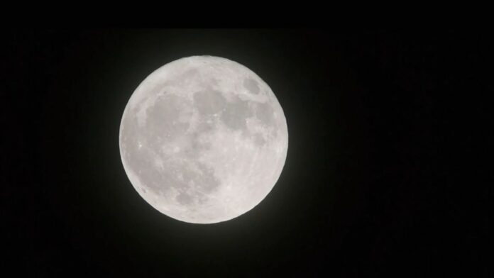 Buck Moon Buck Moon
