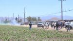 Camarillo Farm