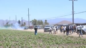Camarillo Farm