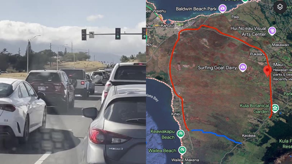 Did Oprah Winfrey Refuse to Open Private Maui Road During Tsunami Evacuation?