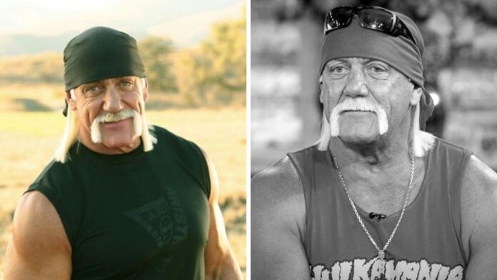 Hulk Hogan Hulk Hogan