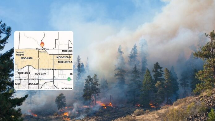 Reche Fire