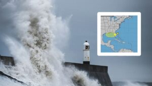 Storm Dexter