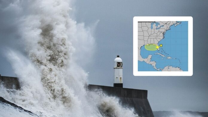 Storm Dexter Storm Dexter