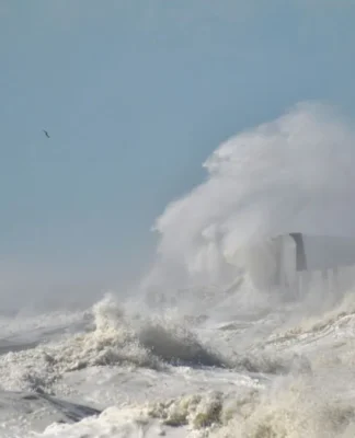 Tsunami Alert