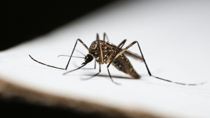 West Nile Virus West Nile Virus