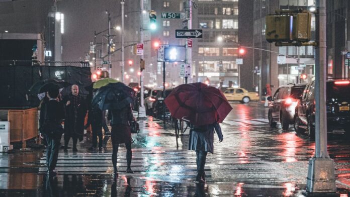 new york new york