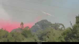 Edgewood Fire