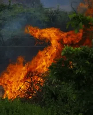 Fire