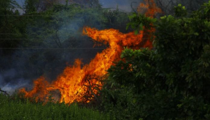 Fire