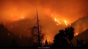 Pickett Fire