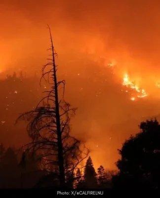 Pickett Fire