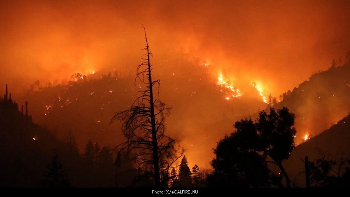 Pickett Fire Grows to 6,803 Acres as 1,200 Firefighters Battle Blaze in Napa County