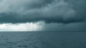 Tropical Storm