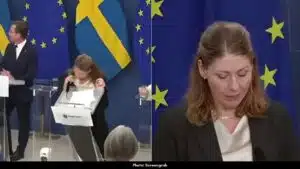 Elisabet Lann