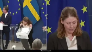 Elisabet Lann