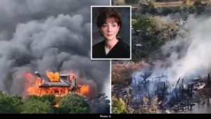 Fire Destroys South Carolina Judge Diana Goodstein’s Home