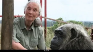 Jane Goodall