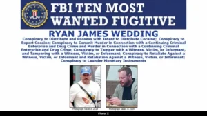 Ryan Wedding