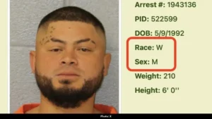 Charlotte Stabbing