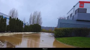 Desimone Levee Break