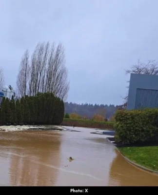 Desimone Levee Break