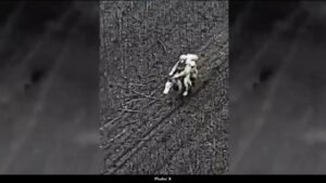 Ukrainian Drone Strikes Russian Soldier