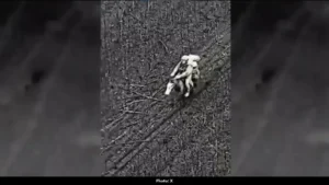 Ukrainian Drone Strikes Russian Soldier