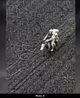 Ukrainian Drone Strikes Russian Soldier