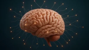 Brain
